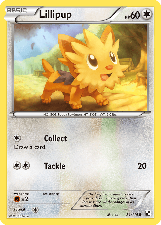 Lillipup BW1-81