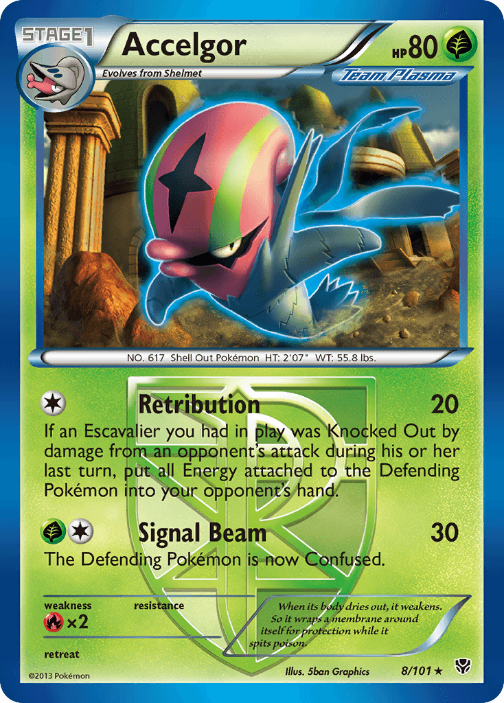 Accelgor BW10-8