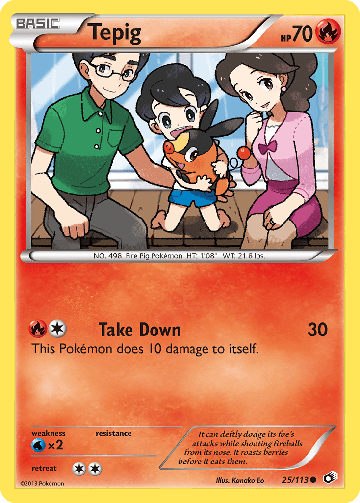 Tepig BW11-25
