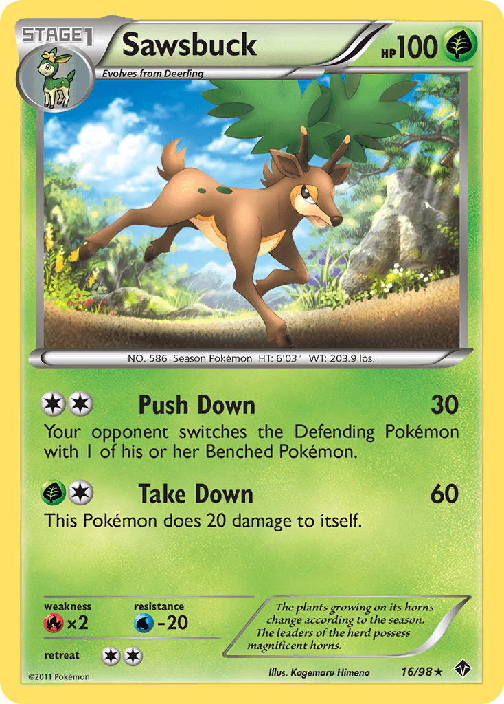 Sawsbuck BW2-16