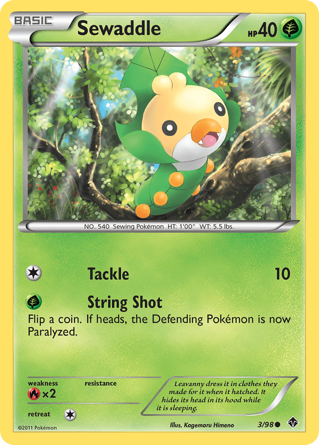 Sewaddle BW2-3