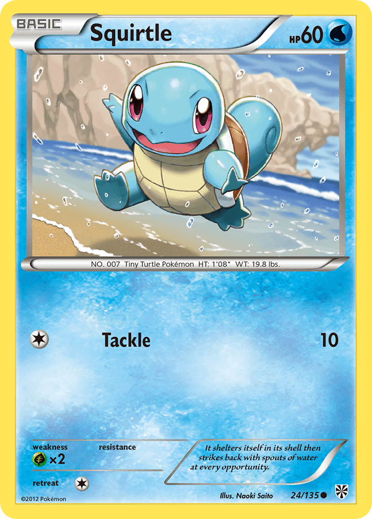 Squirtle BW8-24