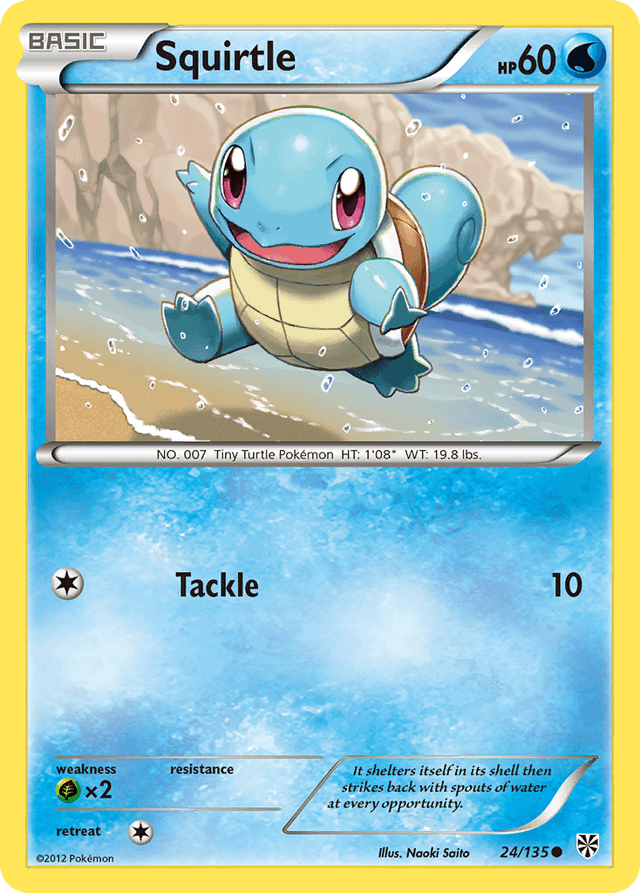Squirtle BW8-24