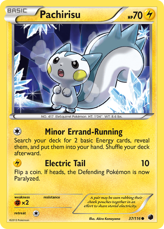 Pachirisu BW9-37