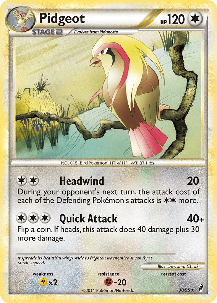 Pidgeot COL1-30