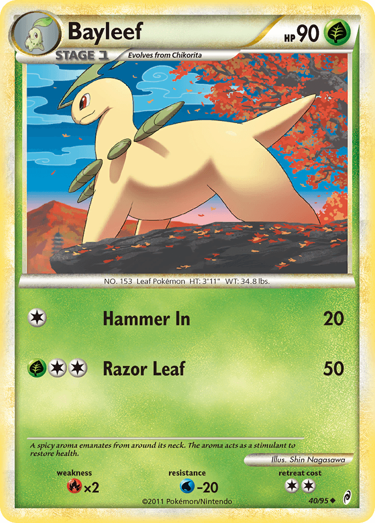 Bayleef COL1-40