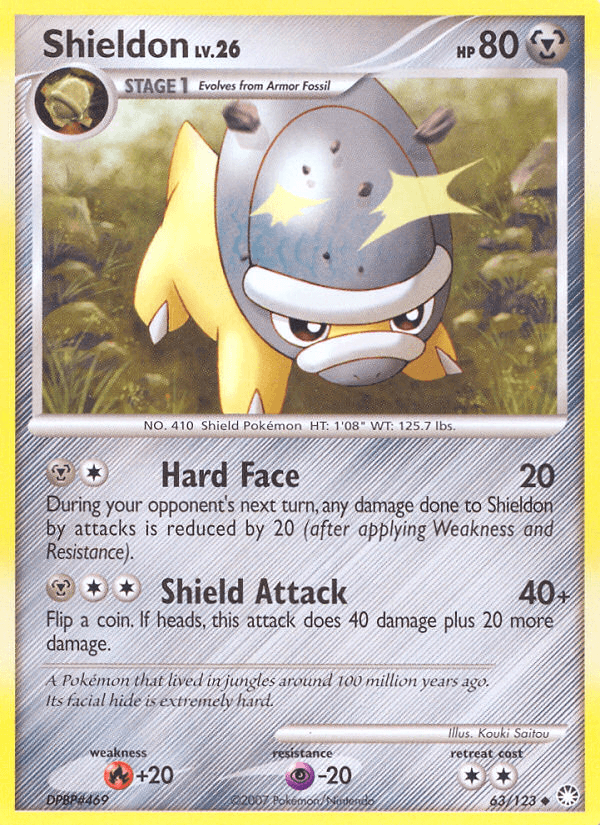 Shieldon DP2-63