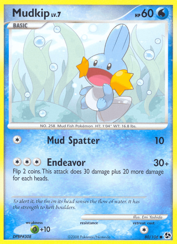 Mudkip DP4-80