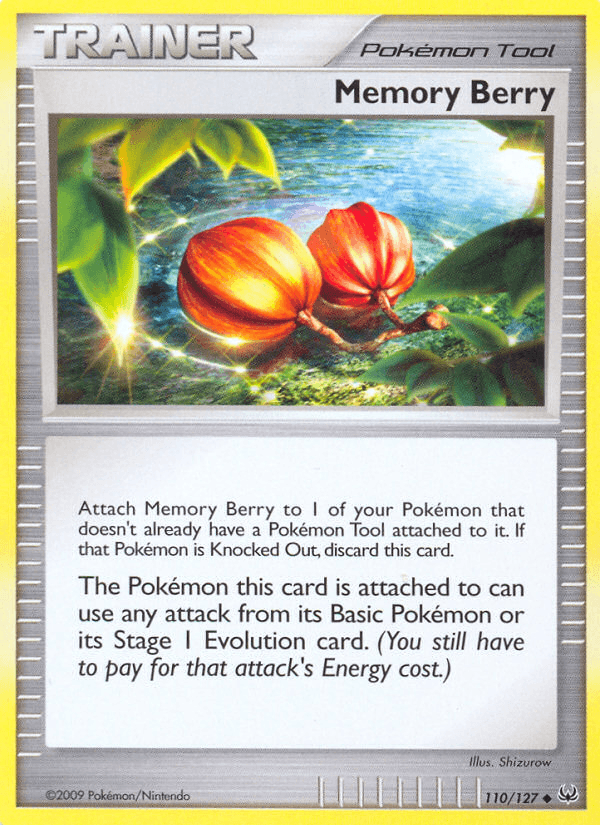 Memory Berry PL1-110