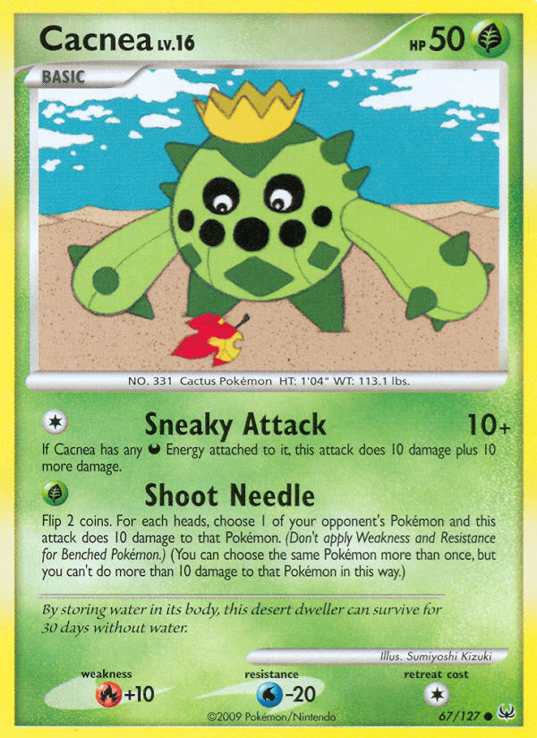 Cacnea PL1-67