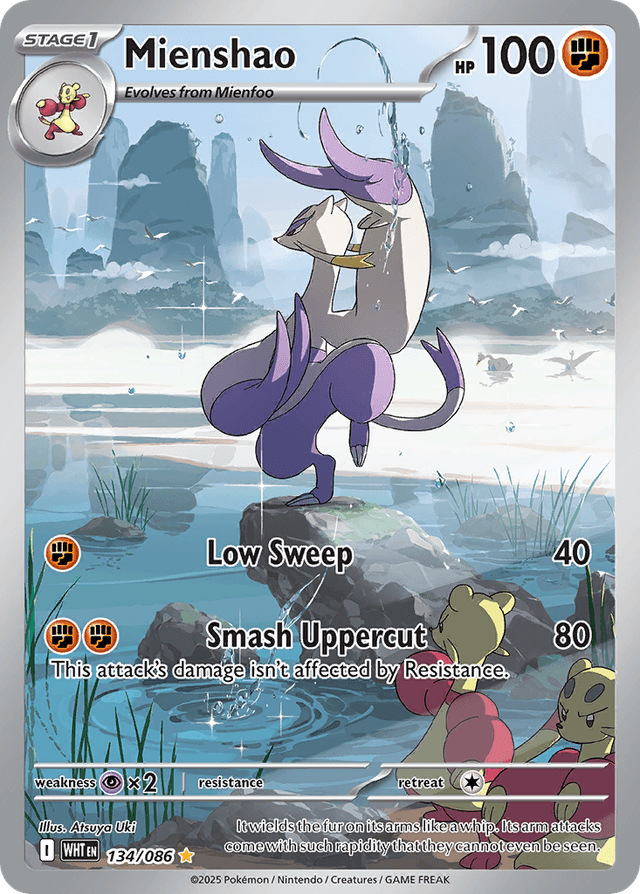 Mienshao RSV10PT5-134
