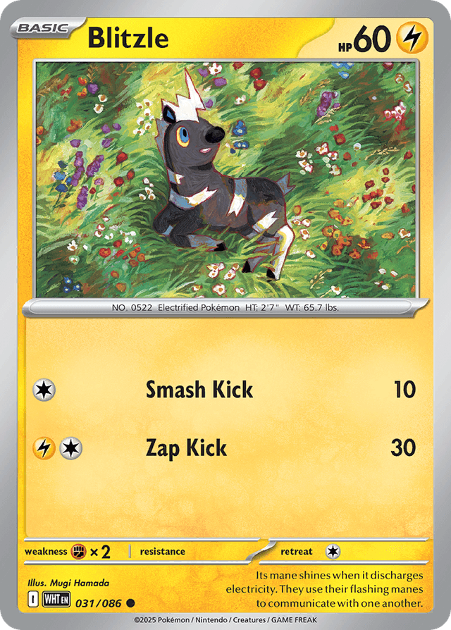 Blitzle RSV10PT5-31