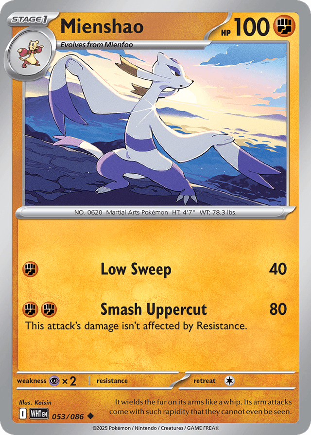 Mienshao RSV10PT5-53