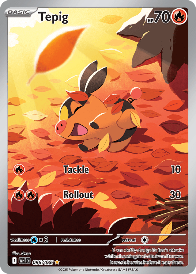 Tepig RSV10PT5-96