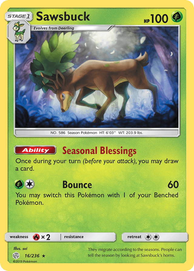 Sawsbuck SM12-16