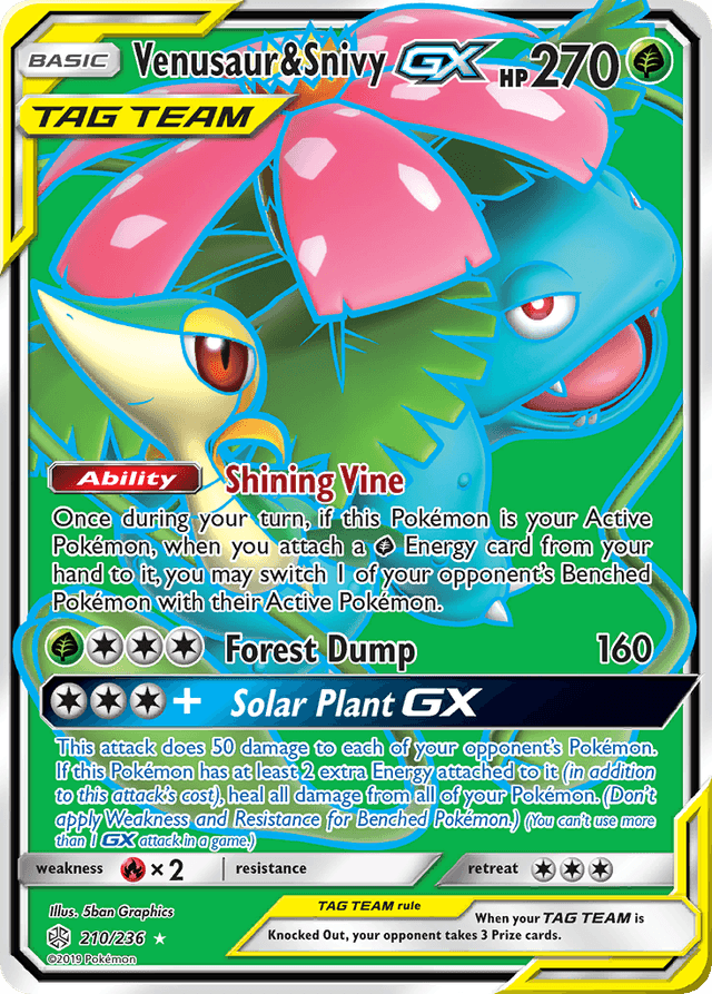 Venusaur & Snivy-GX SM12-210
