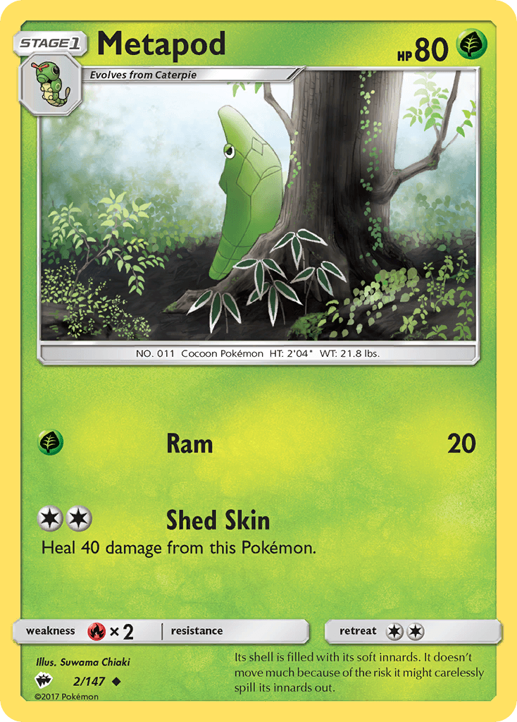 Metapod SM3-2