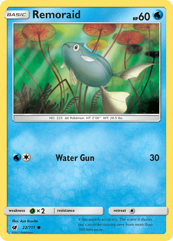 Remoraid SM4-22