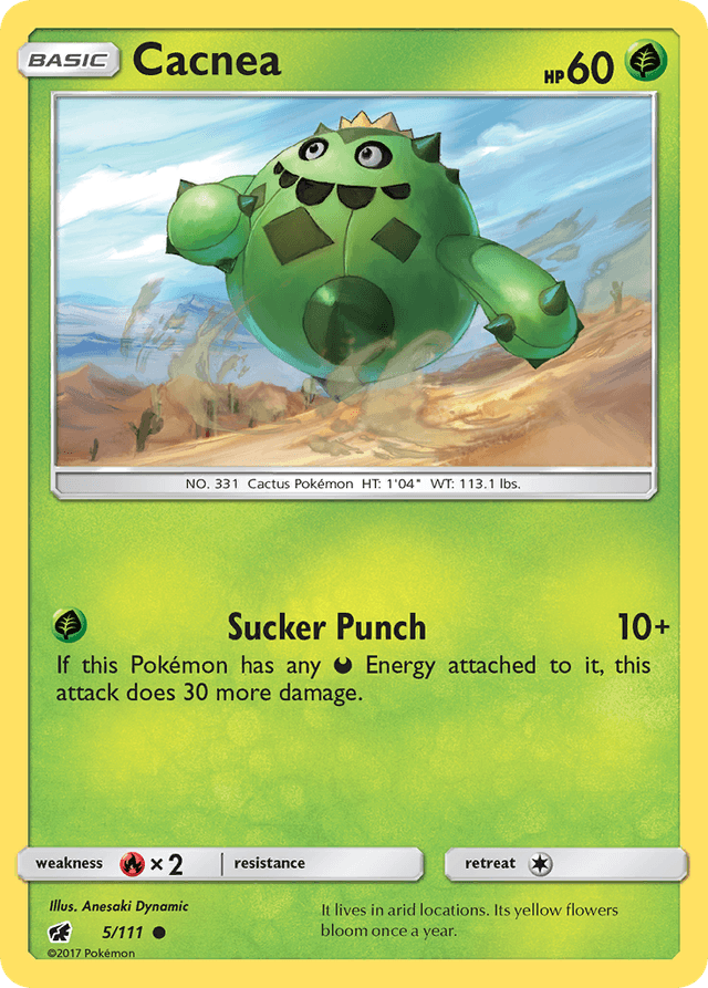 Cacnea SM4-5