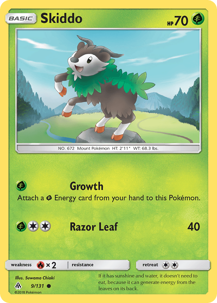 Skiddo SM6-9