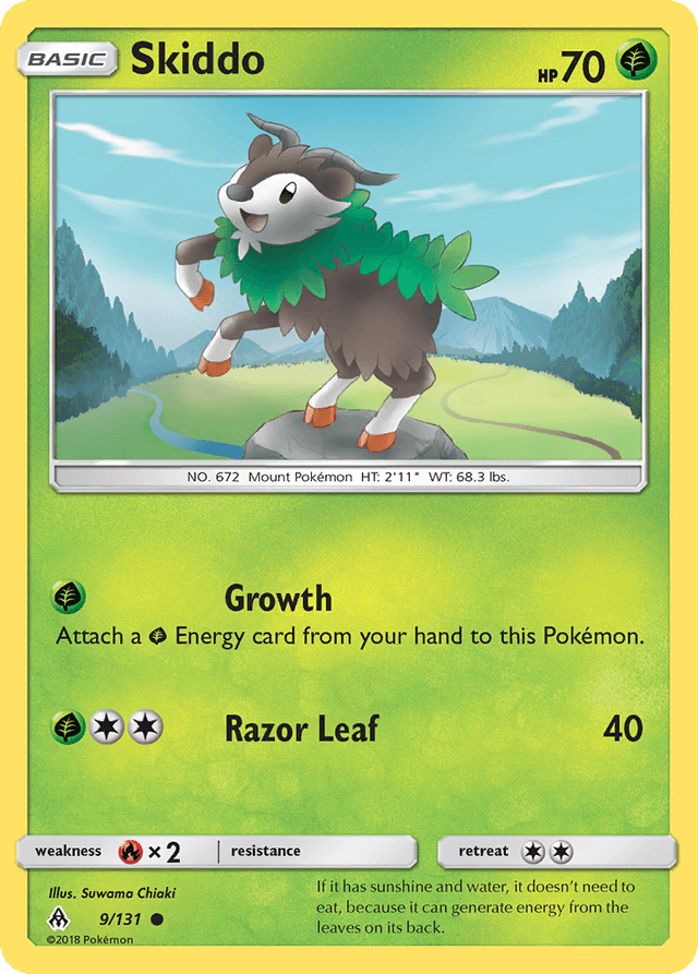 Skiddo SM6-9