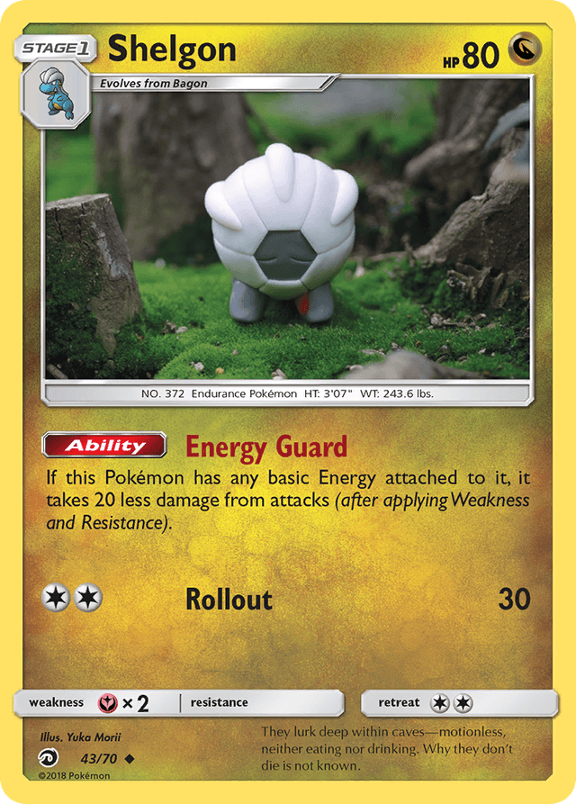 Shelgon SM75-43