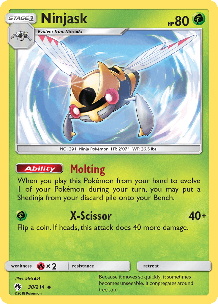 Ninjask SM8-30