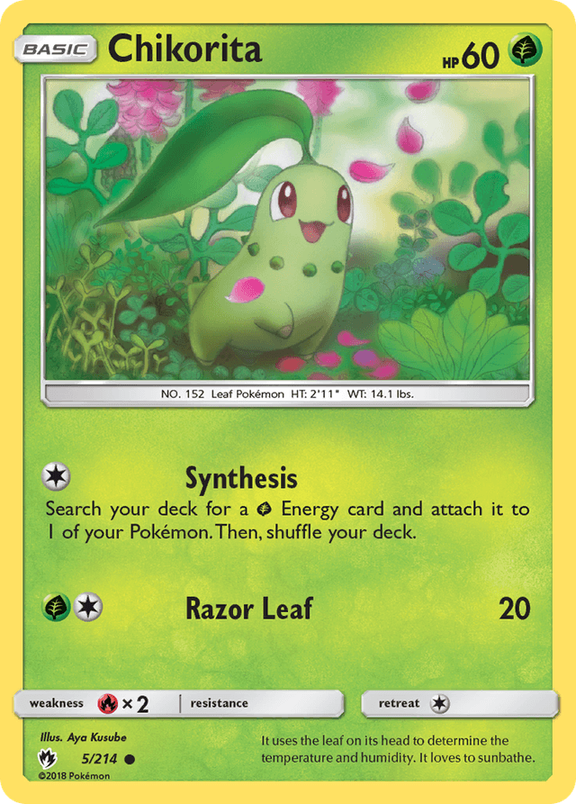 Chikorita SM8-5