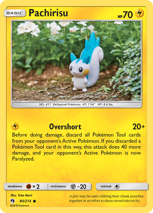 Pachirisu SM8-80