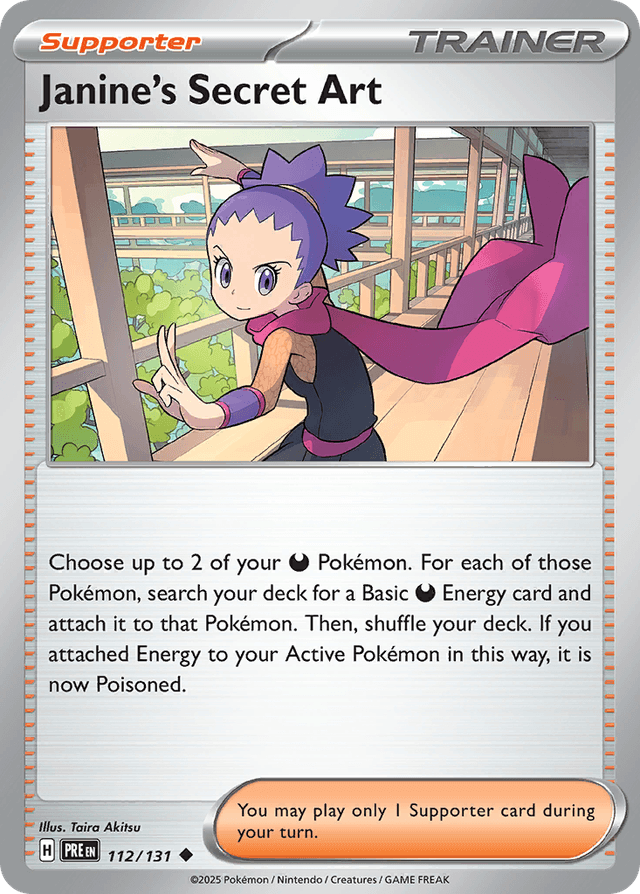 Janine's Secret Art SV8PT5-112
