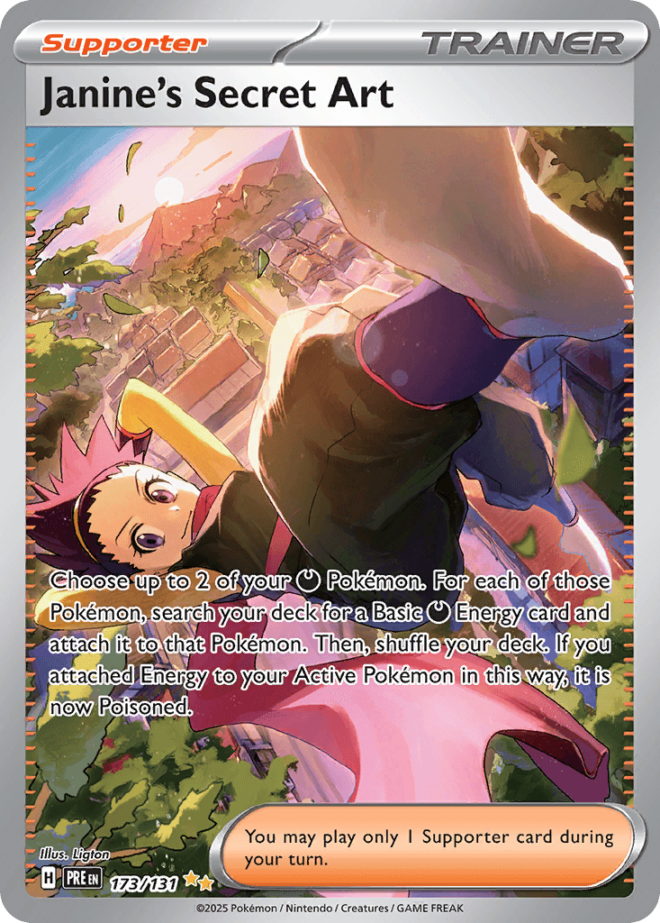 Janine's Secret Art SV8PT5-173