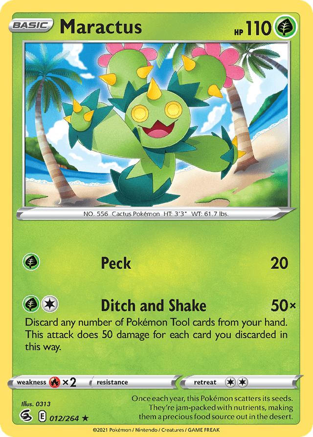 Maractus SWSH8-12