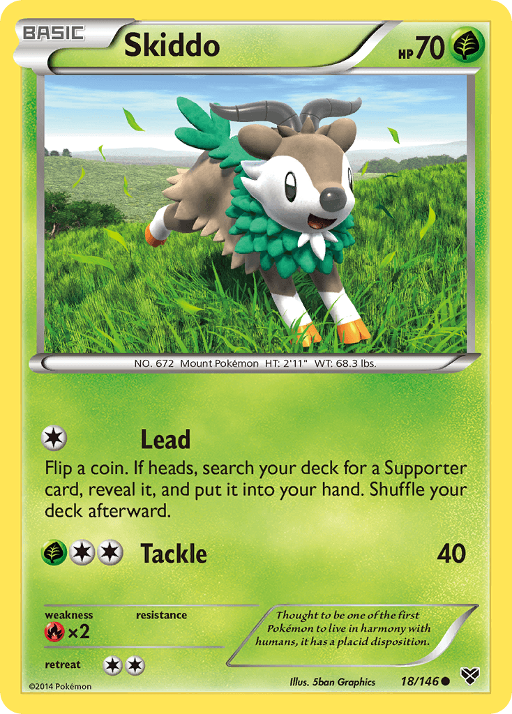 Skiddo XY1-18