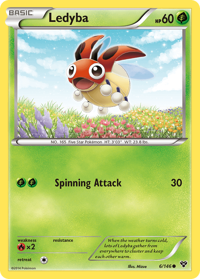 Ledyba XY1-6