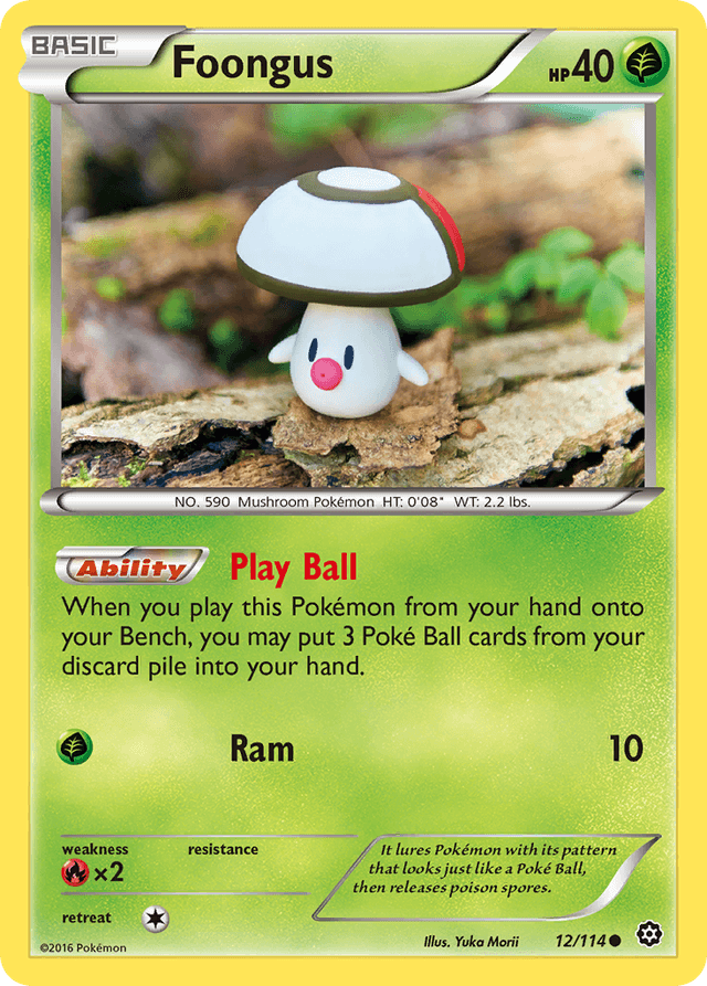Foongus XY11-12