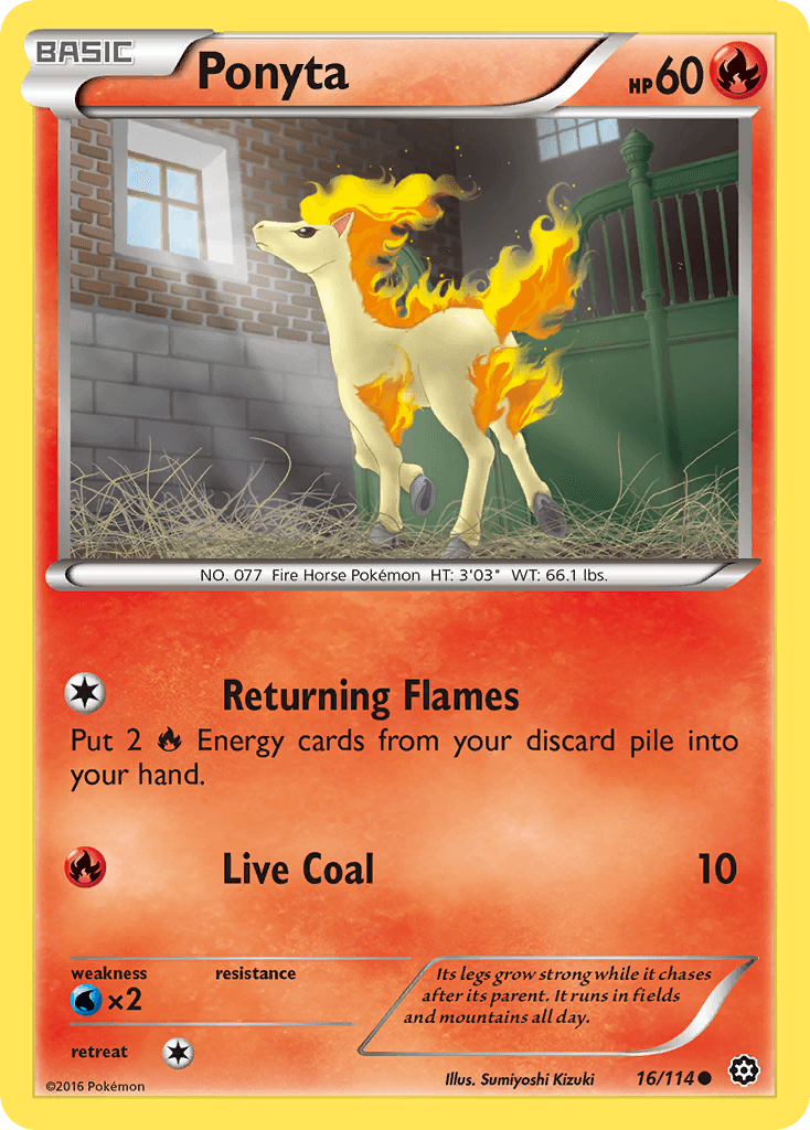 Ponyta XY11-16