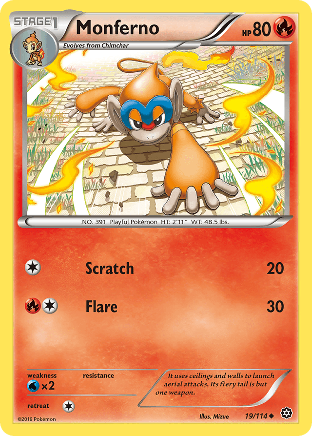 Monferno XY11-19