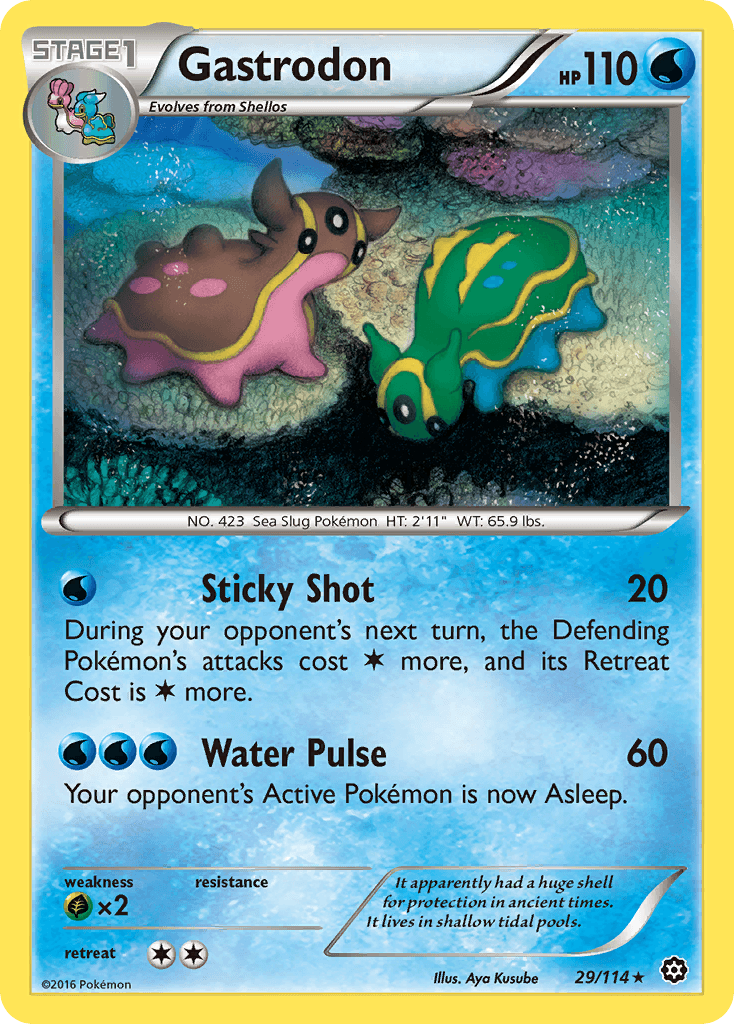 Gastrodon XY11-29