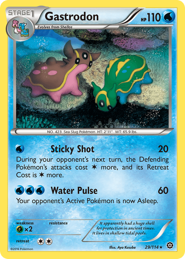 Gastrodon XY11-29