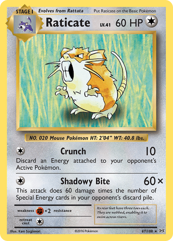 Raticate XY12-67