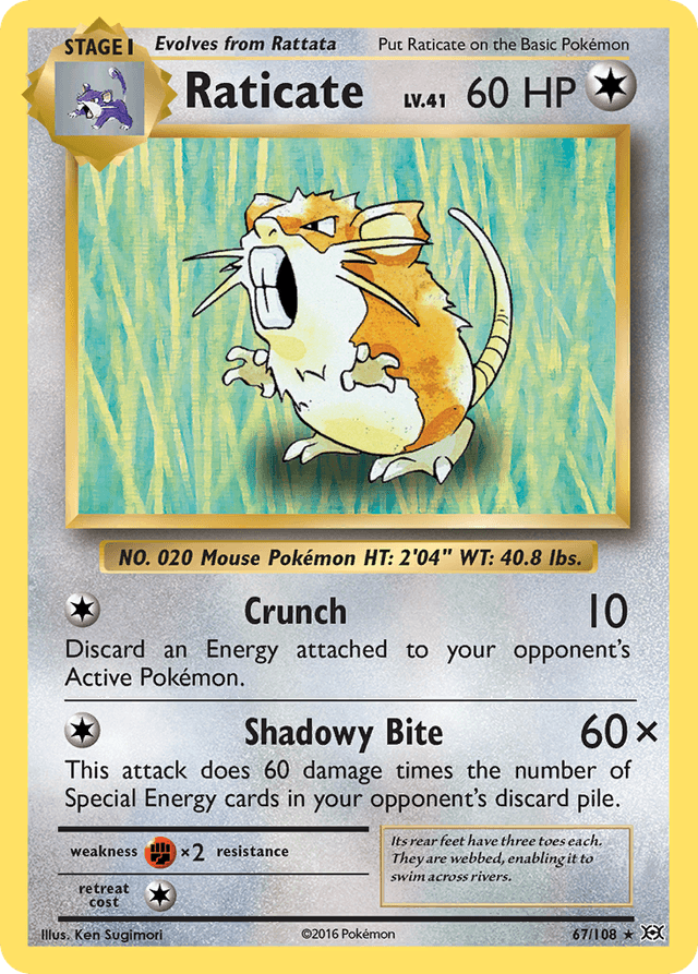 Raticate XY12-67