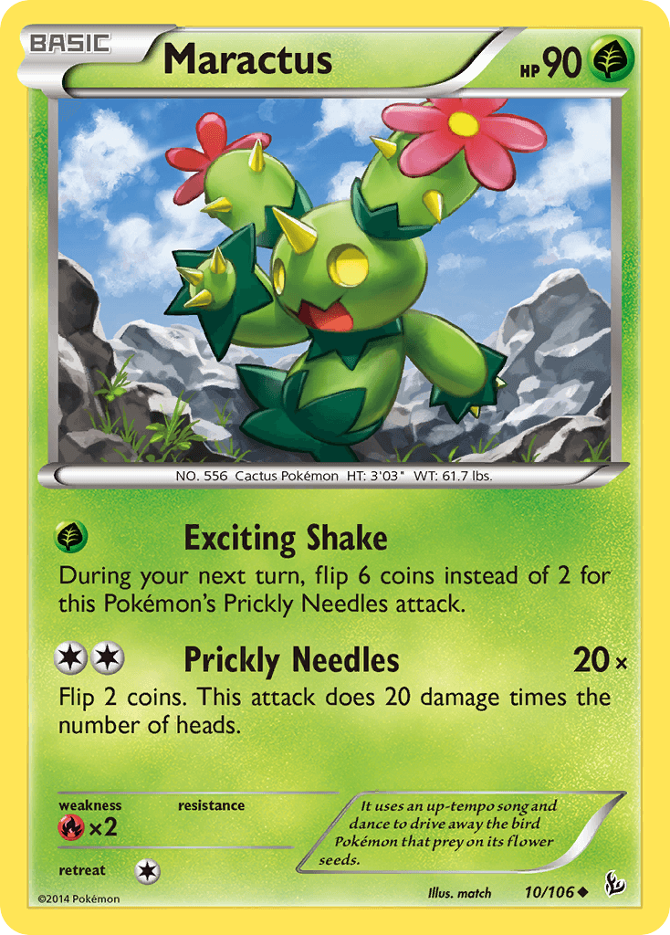 Maractus XY2-10