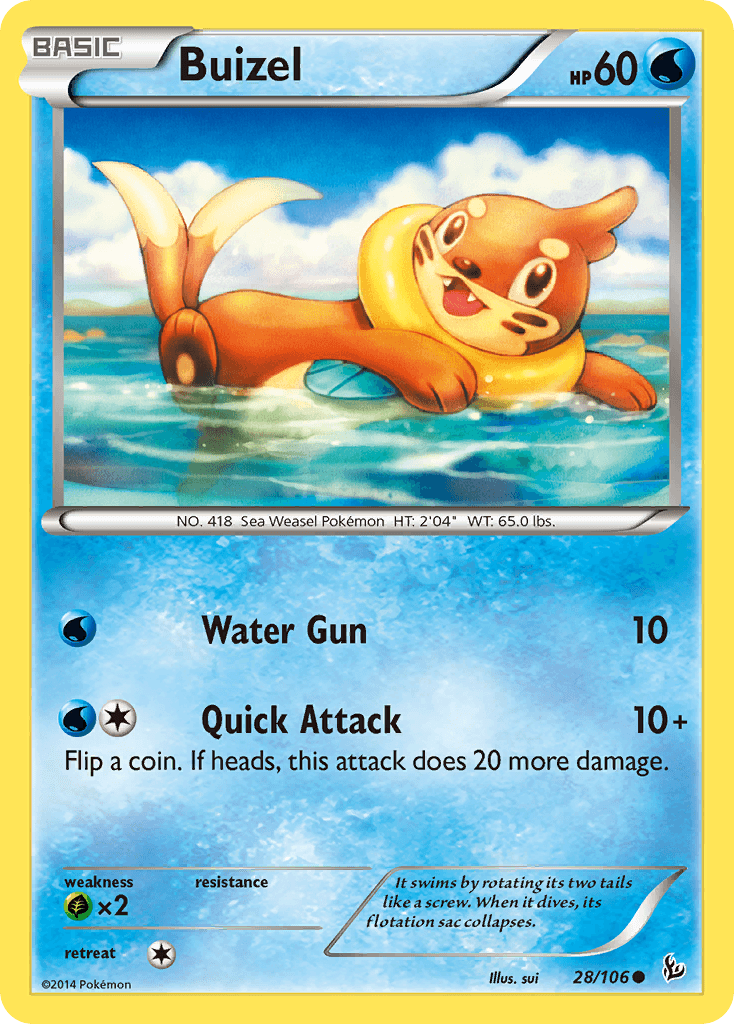 Buizel XY2-28