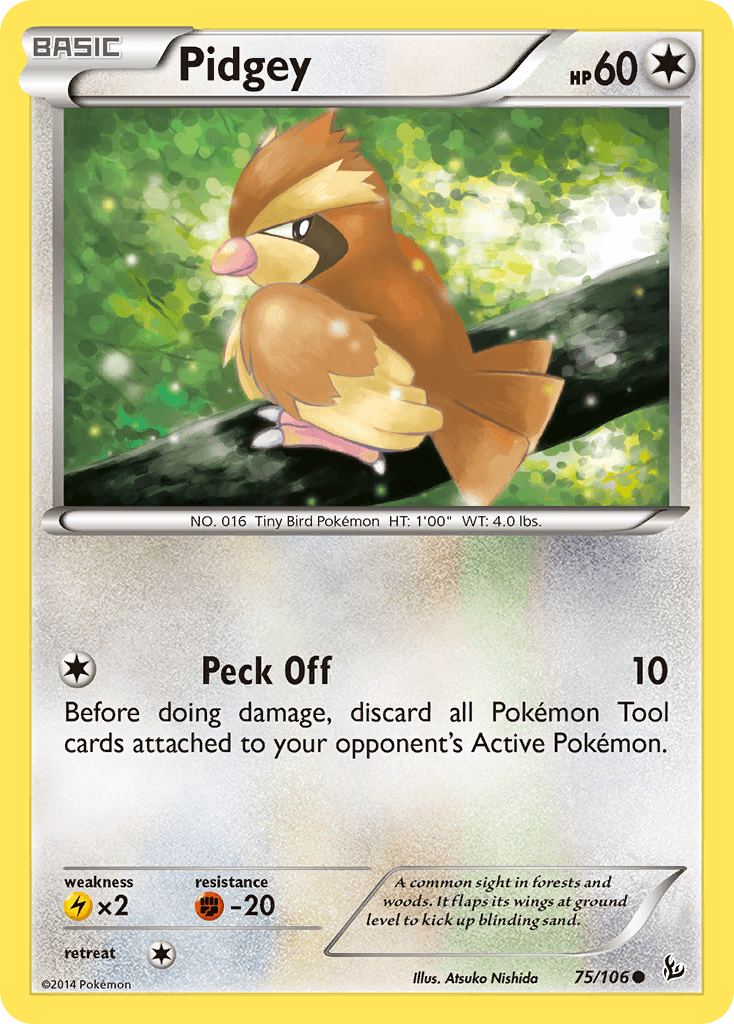 Pidgey XY2-75
