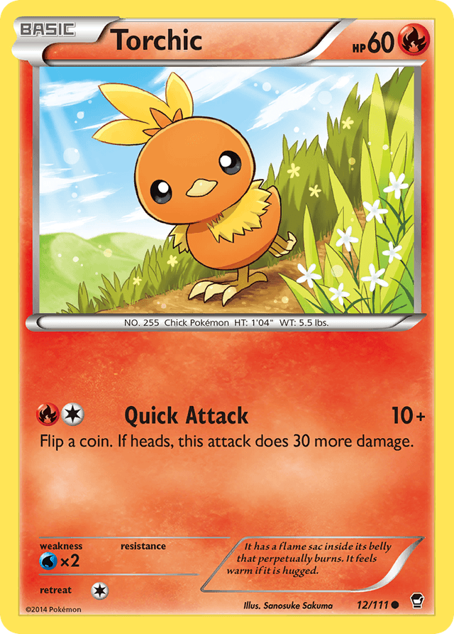 Torchic XY3-12