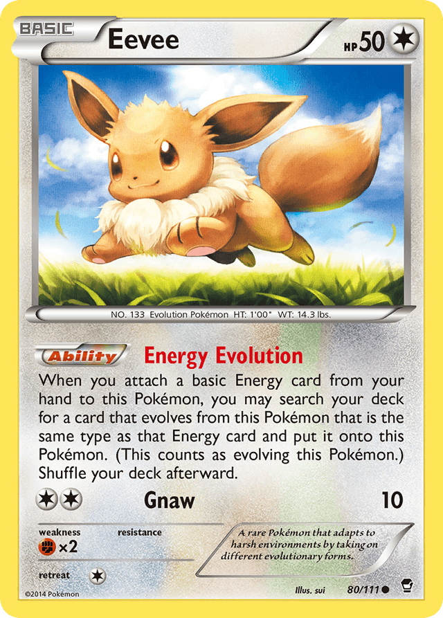 Eevee XY3-80