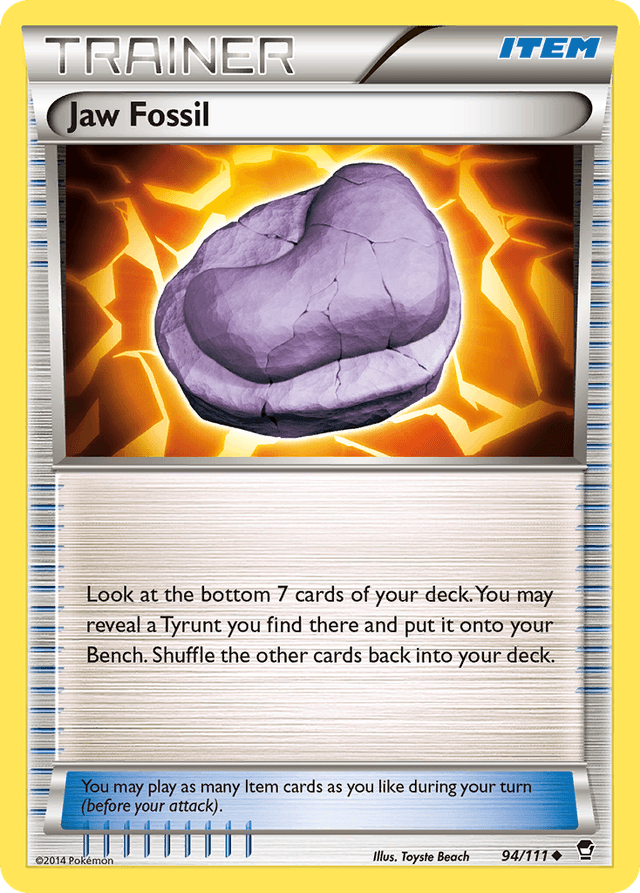 Jaw Fossil XY3-94