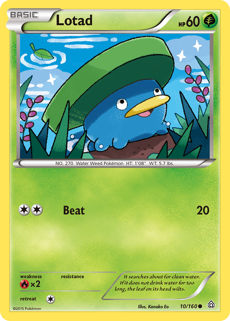 Lotad XY5-10