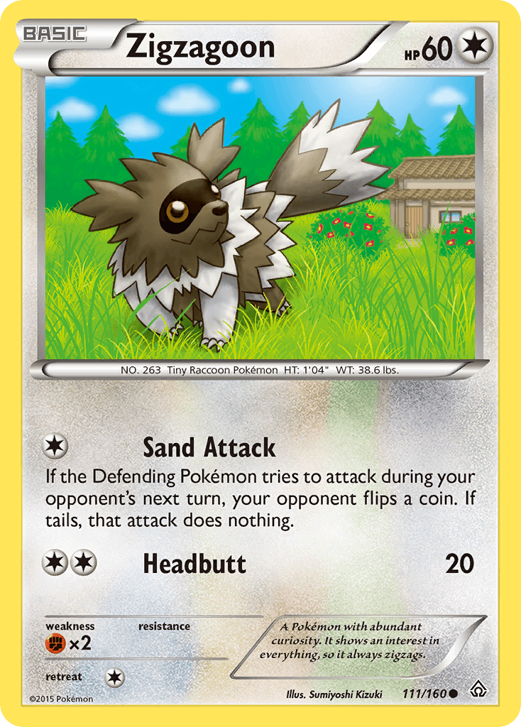 Zigzagoon XY5-111
