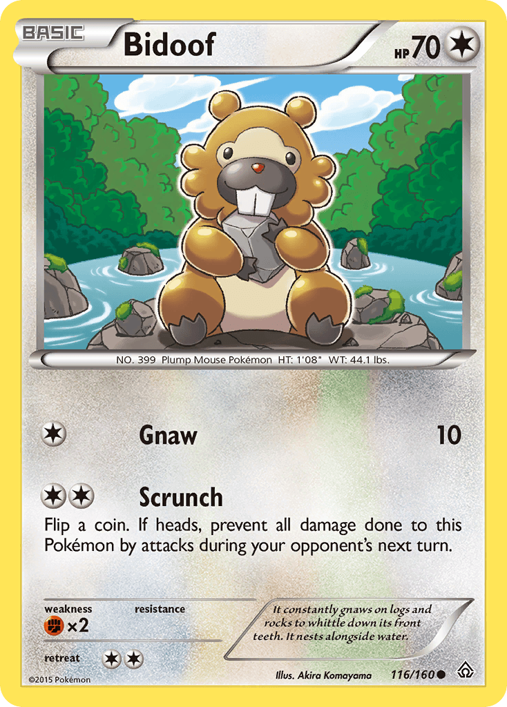 Bidoof XY5-116